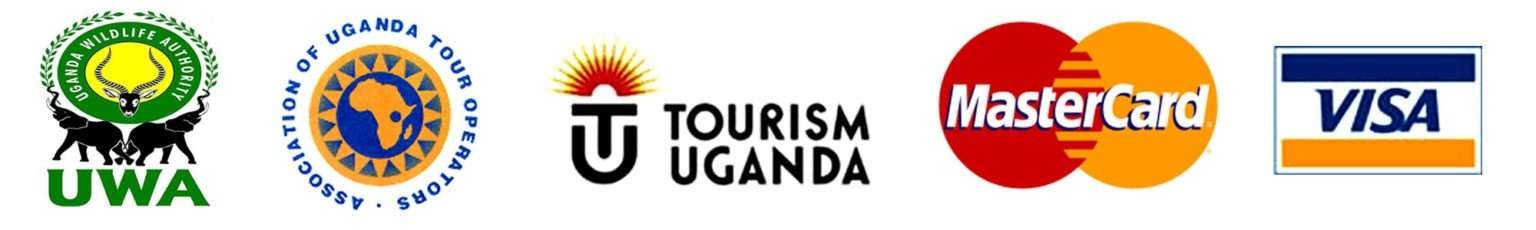 Bwindi Gorilla Trekking Uganda | Gorilla Permits & Safaris