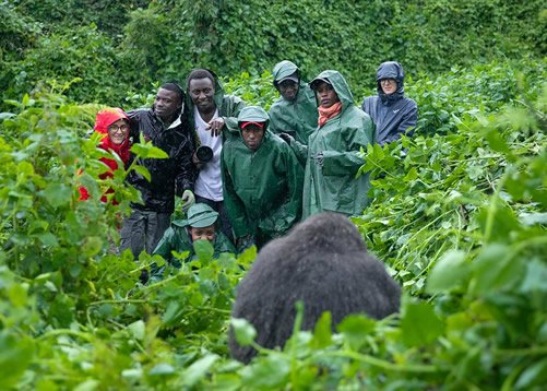 Best Time to Visit Bwindi Gorilla Trekking Uganda