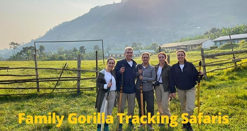 Family Gorilla Safaris In Uganda - Bwindi Gorilla Trekking