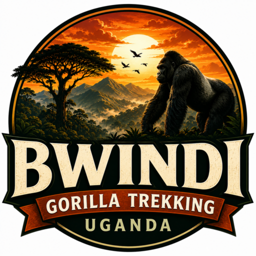 Contact Us - Bwindi Gorilla Trekking Uganda