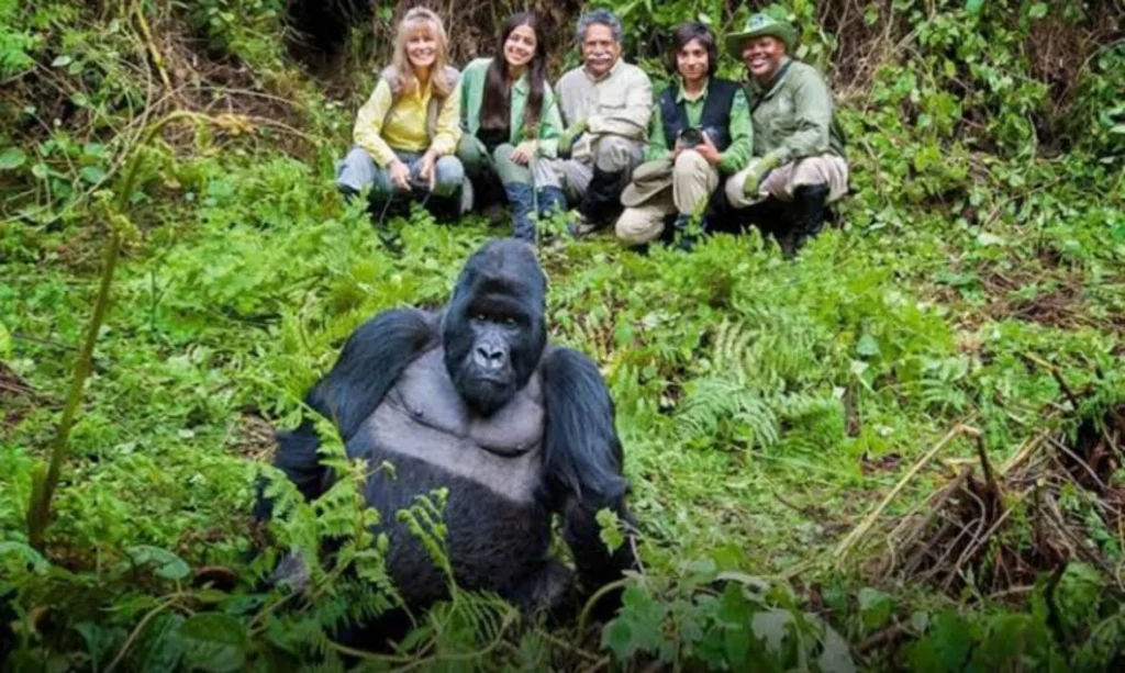Bwindi Gorilla Trekking Permit Cost 2026 - Gorilla Trekking Uganda
