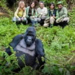 Uganda Gorilla Safari Packages 2026: Prices, Itineraries and What Is Included