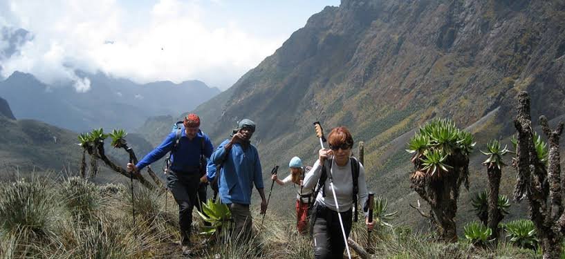 Rwenzori Mountains National Park Uganda