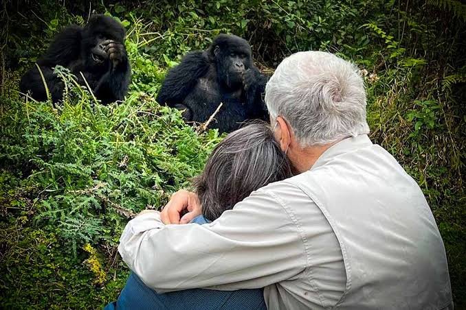 Luxury Gorilla Safari Packages In Uganda