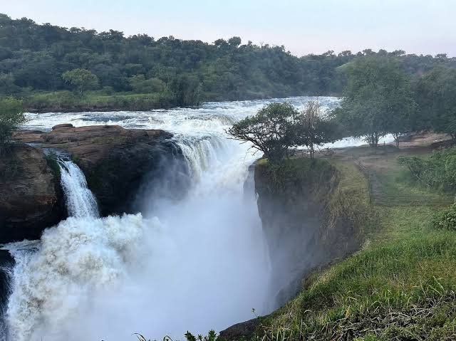 Murchison Falls National Park Uganda