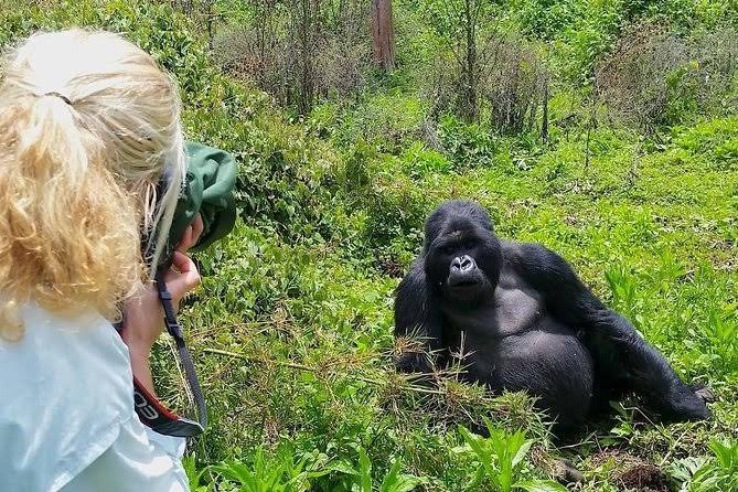 Bwindi Gorilla Trekking Uganda - Bwindi Photography Guide