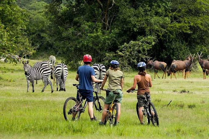 Lake Mburo National Park Uganda Safari