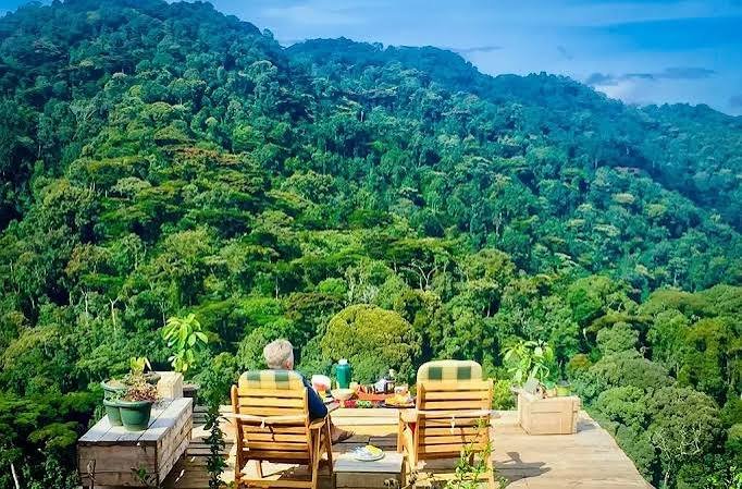 Bwindi Travel Guide - Bwindi Gorilla Trekking Uganda