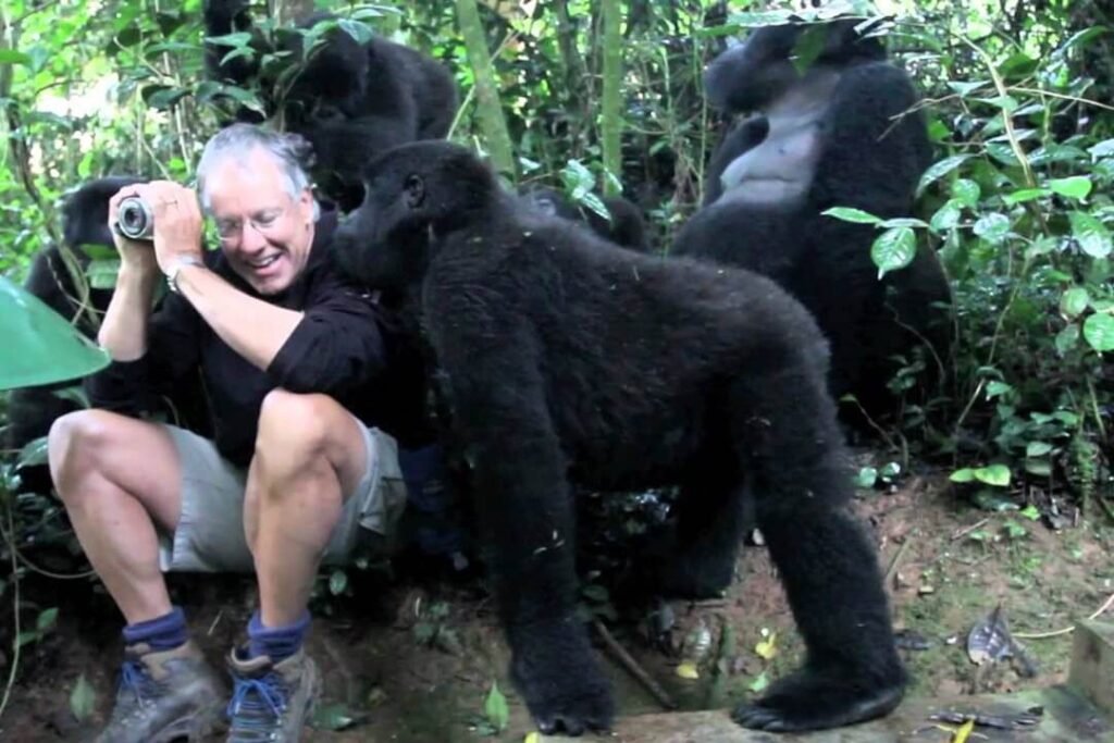 Gorilla Habituation Experience in Bwindi