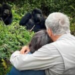 3 Day Uganda Gorilla Trekking Safari: Complete Itinerary and Cost