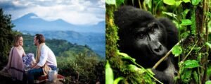 The Best Time to Visit Bwindi for Photography