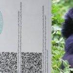 How To Book a Gorilla Permit In Uganda