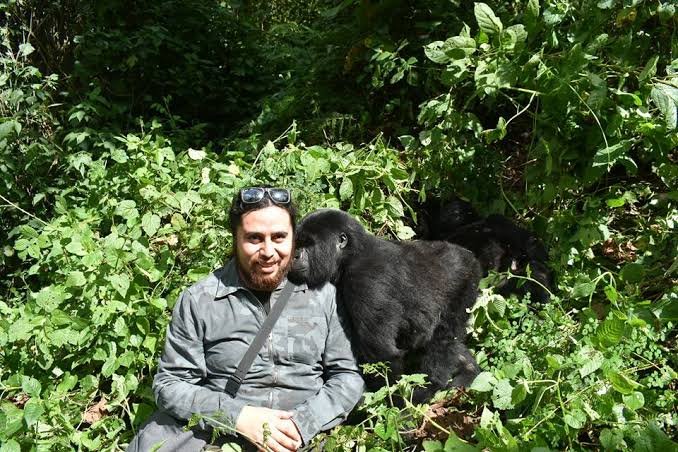 Solo Traveler's Guide to Gorilla Trekking in Uganda