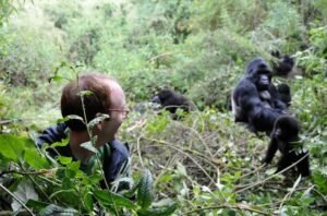 Bwindi Gorilla Trekking Uganda - How Much Does Gorilla Trekking in Uganda Cost in 2026?